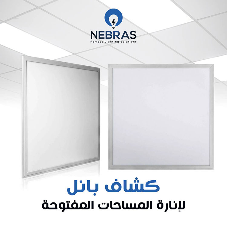 Photos-nebras-for-electrical-supplies-modern-light-photo_619520_2022_wa_02_38414