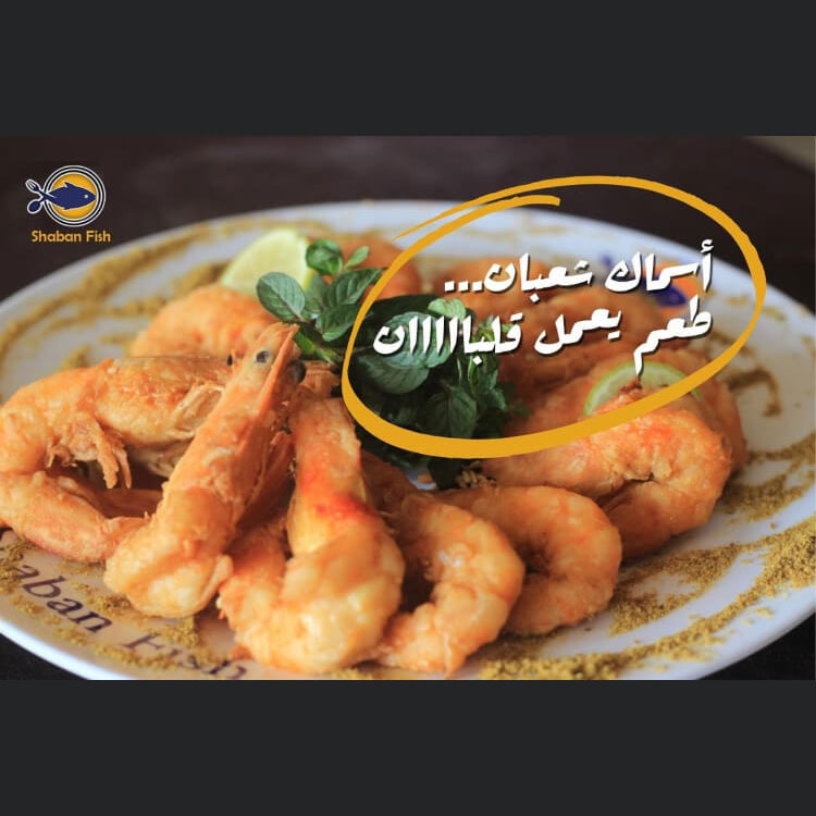 الصور-asmak-shaaban-photo_30799_2022_wa_03_91847