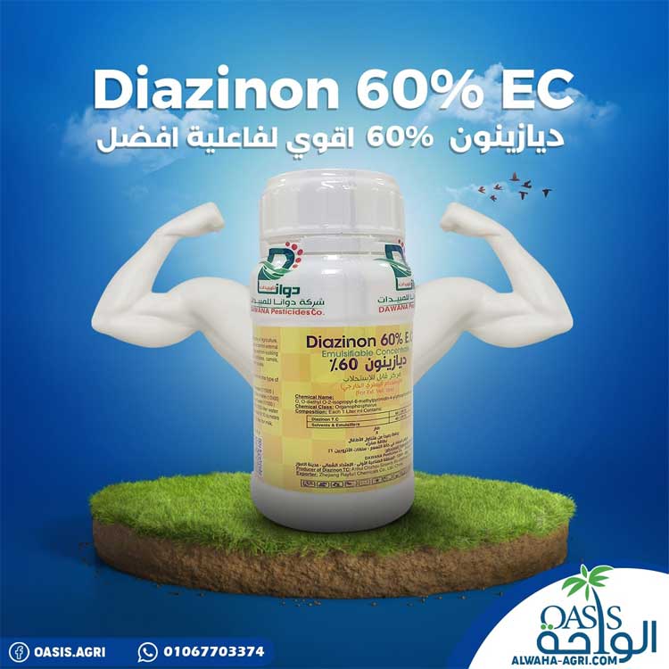 Photos-alwaha-company-for-import-export-and-trade-photo_689706_2023_sh_01_89523
