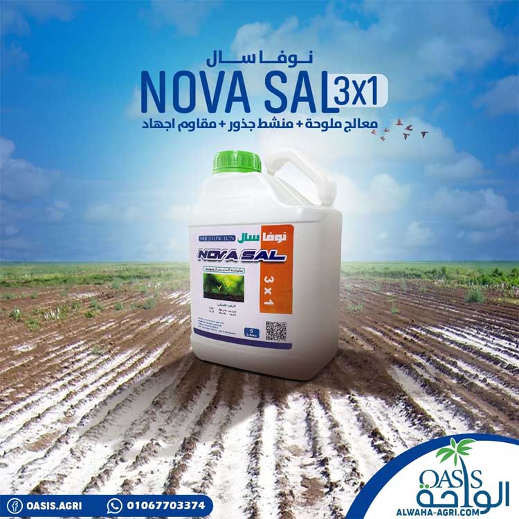 Photos-alwaha-company-for-import-export-and-trade-photo_689706_2023_sh_02_70792
