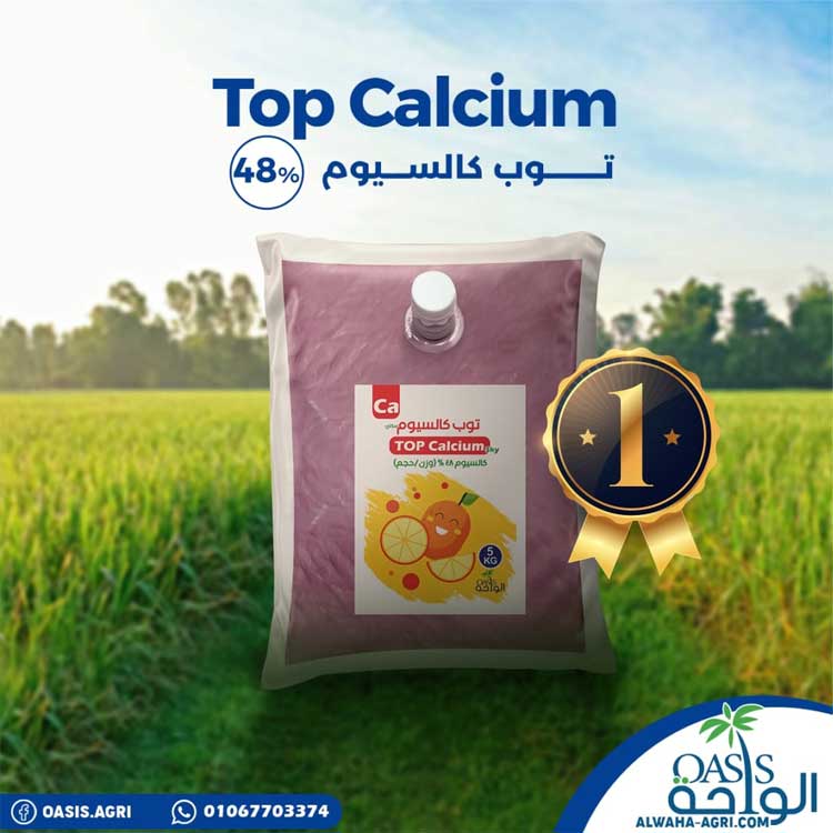 Photos-alwaha-company-for-import-export-and-trade-photo_689706_2023_sh_03_49799