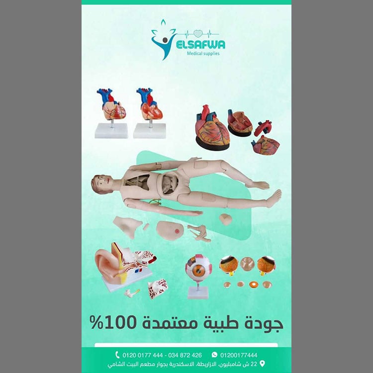 الصور-el-safwa-for-supplies-and-medical-equipments-photo_615250_2025_wa_02_18520
