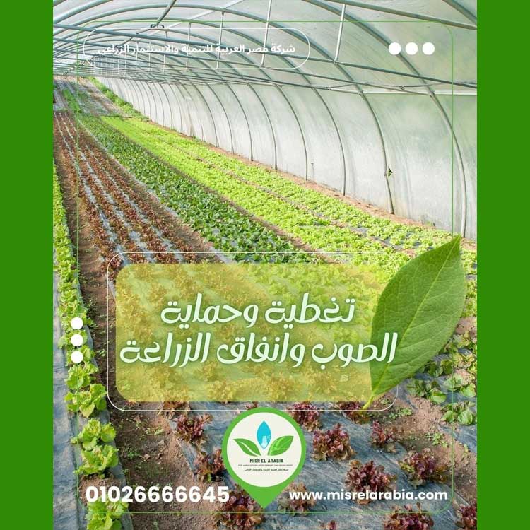 MIBD81~1_72700.jpg?9