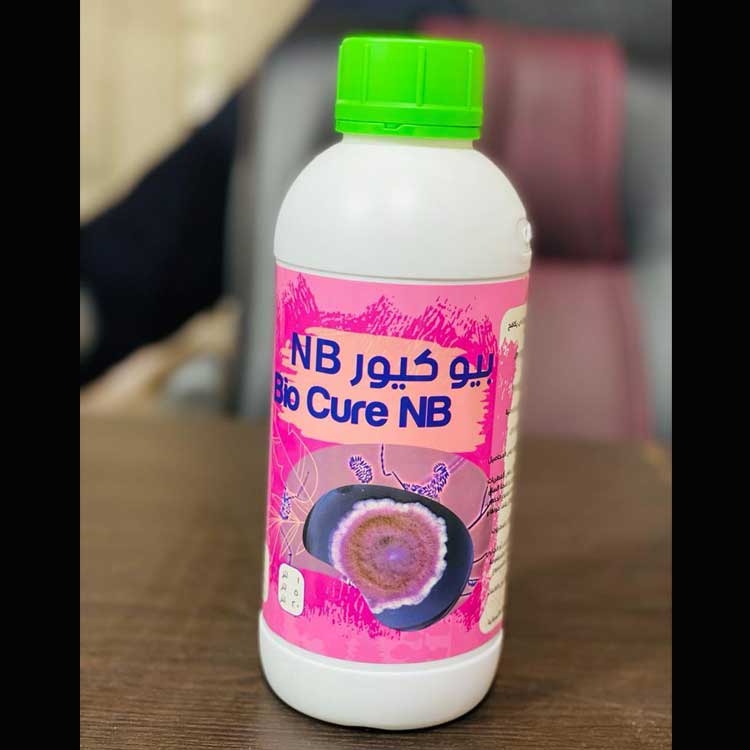 {product_name}